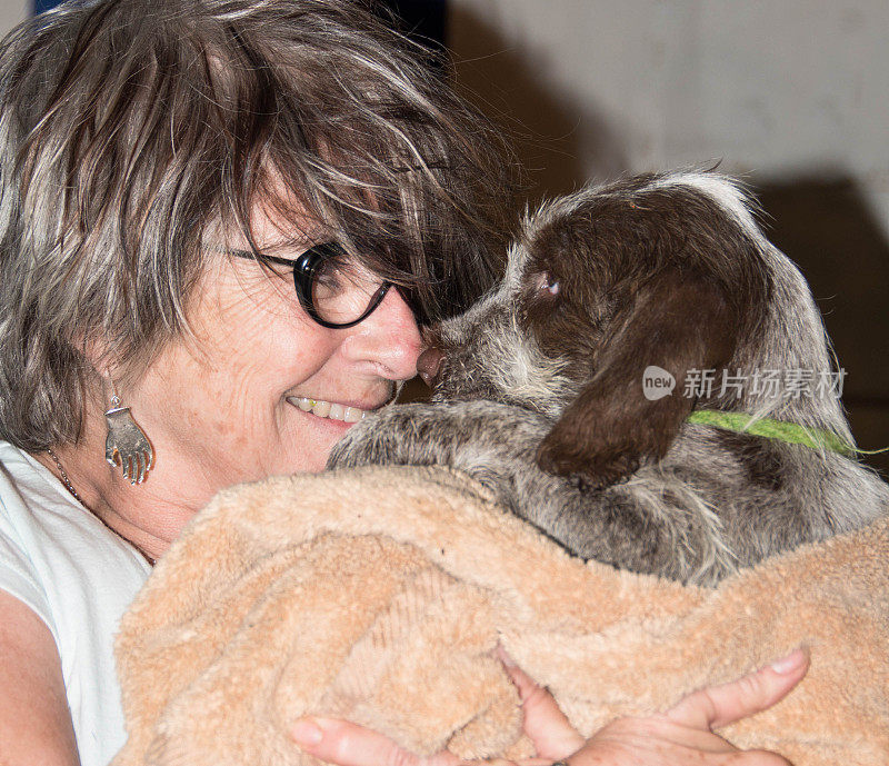 成年与小狗，Spinone Italiano